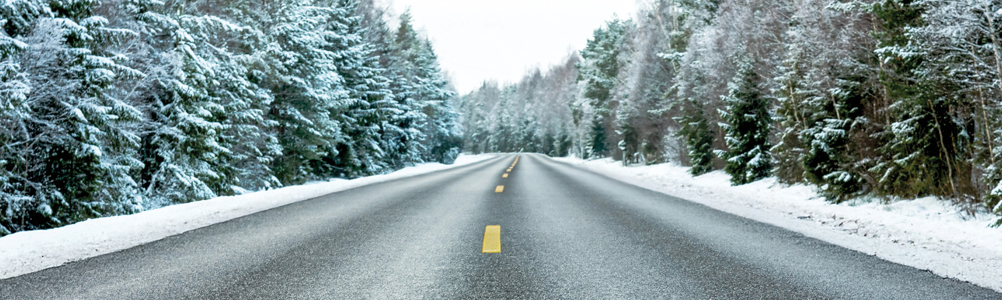 Keep Your Eyes on the Road | Safe Road Driving Academy